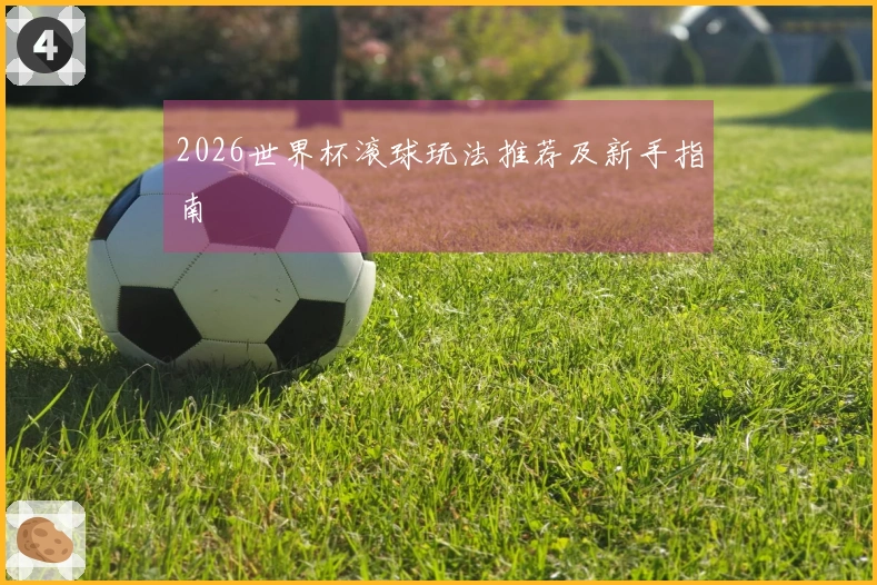2026世界杯滚球玩法推荐及新手指南